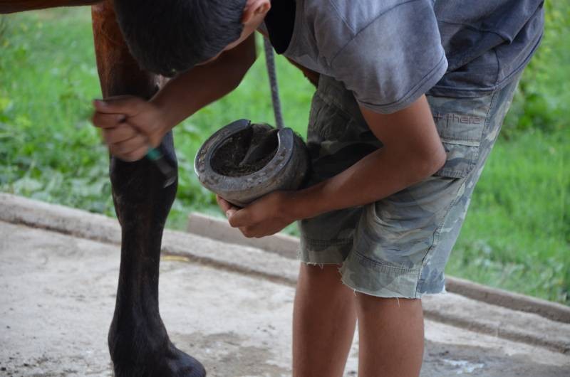 centru echitatie Nana Farm  (9)