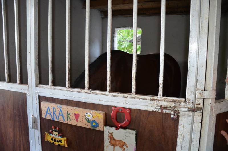 centru echitatie Nana Farm  (3)