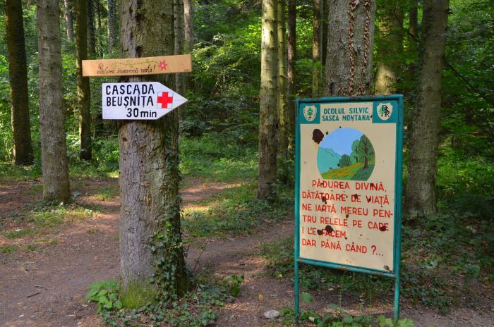 Lacul Ochiul Beiului Cheile Nerei (10)