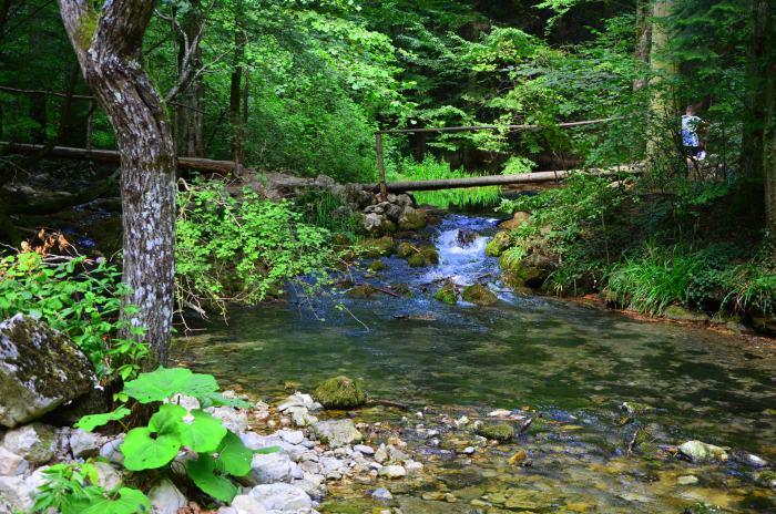 Lacul Ochiul Beiului Cheile Nerei (4)