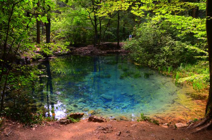 Lacul Ochiul Beiului Cheile Nerei (7)