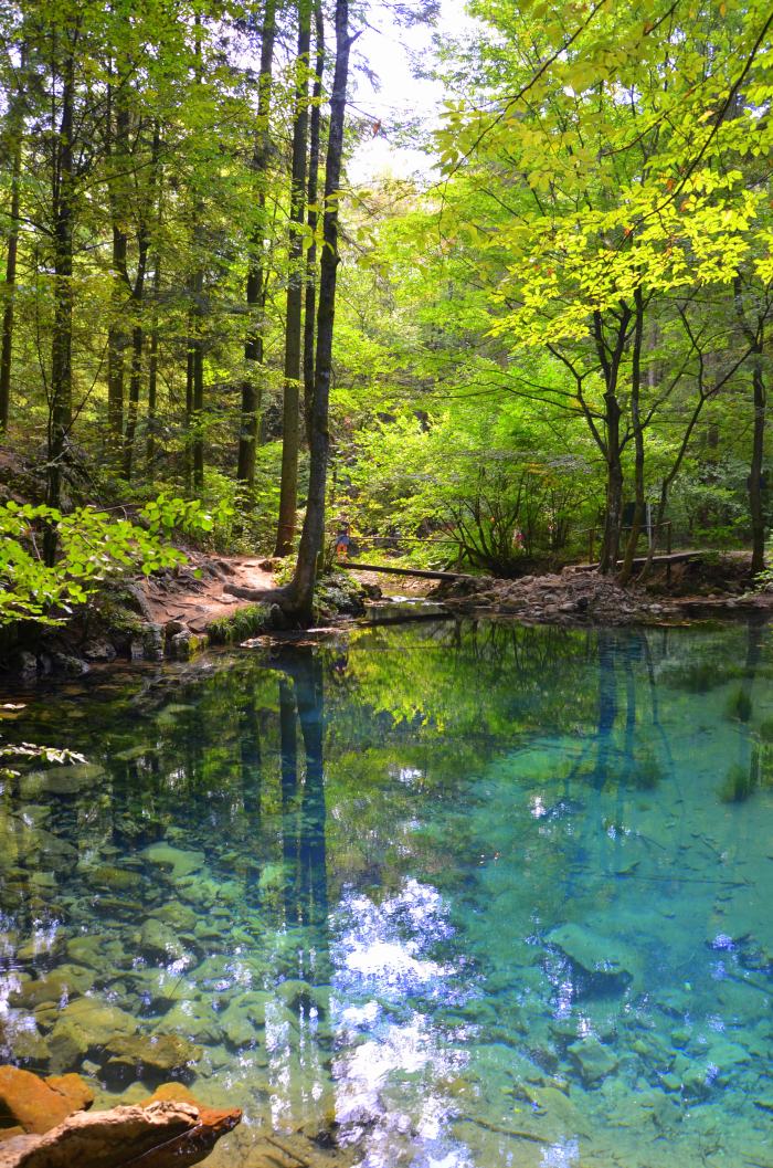 Lacul Ochiul Beiului Cheile Nerei (8)