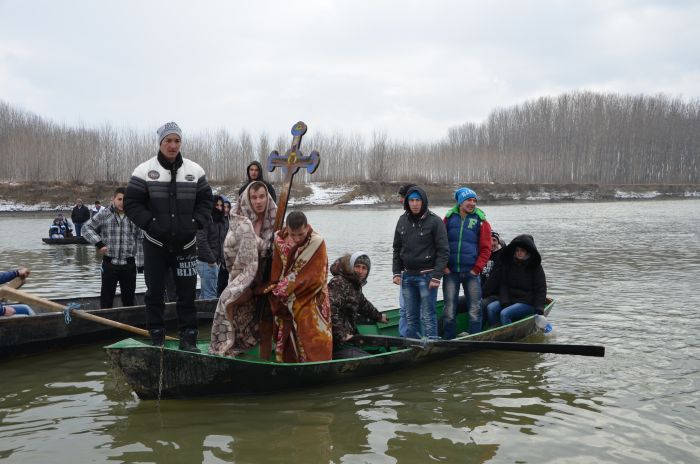 Boboteaza Dunare Modelu Calarasi (2)