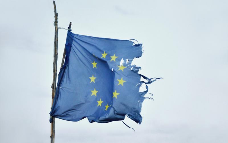 steagul UE